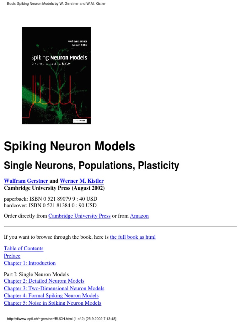 Spiking Neuron Models Overview | PDF | Chemical Synapse | Inhibitory ...