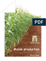 Maize Production.pdf
