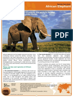 African Elephant Factsheet2007w PDF