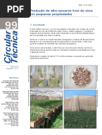 CIRCULAR TÉCNICA CT-99