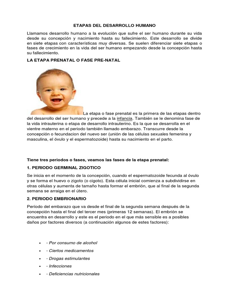 Etapas Del Desarrollo Humano | PDF | Adultos | Vejez