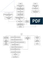 Pathway Polisitemia