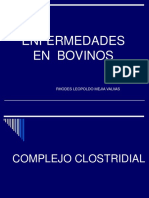 Enfermedades Clostridiales Bovinos