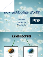 How Antibodies Work?: Brentha Tay Hui Yee Yap Xin Ru