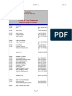 Profit & Loss Statement: PD Mitra