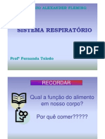 Sistema Respiratorio