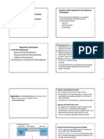 Gene Manipulation Techniques Techniques: - Nucleic Acids Separation and Detection
