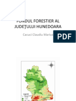 Prezentare Fondul Forestier Al Judeţului Hunedoara