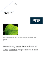 Daun