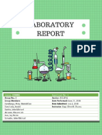 Lab Report #1