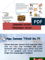 Demam Tifoid