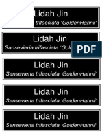 Lidah Jin: Sansevieria Trifasciata Goldenhahnii'