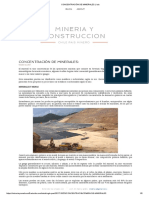 CONCENTRACIÓN DE MINERALES_ _ luis.pdf