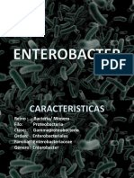 Enterobacter (Genero)
