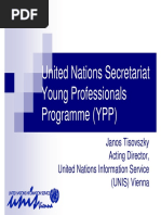 UN Values and Behaviours Framework | PDF