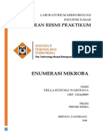 Enumerasi Acetobacter Xylinum