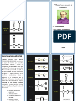 TRIPTICO FUNCIONES ORGANICAS