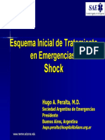 Shock Esquema Inicial de Tratamiento en Emergencias1.pdf