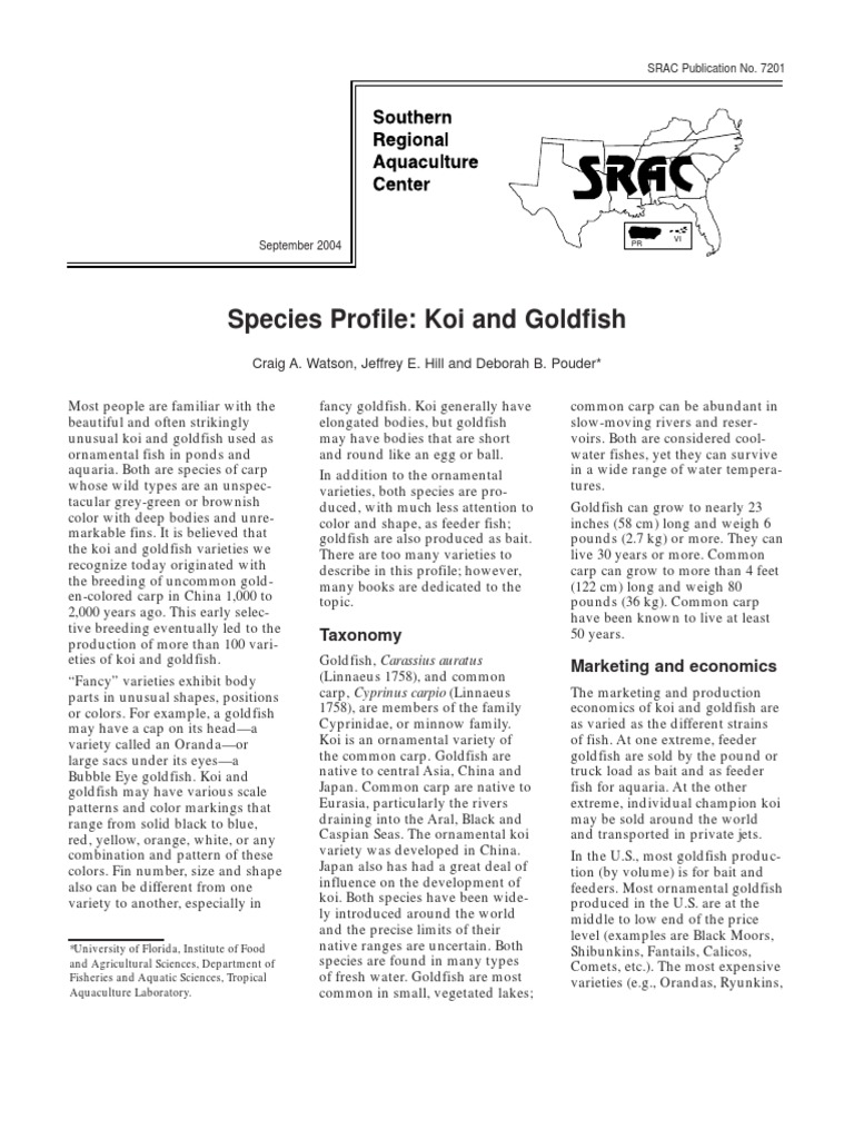 Species Profile Koi and Goldfish | PDF | Spawn (Biology) | Fish