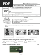 Evaluacion Tercero Basico El Sonido