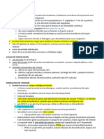 Embriología Cardiovascular Parcial 2