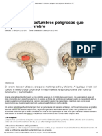 Mala Cabeza_ Costumbres Peligrosas Que Perjudican Al Cerebro – RT