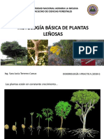 2.Histología Básica de Especies arbóreas_DENDROLOGIA I.pdf