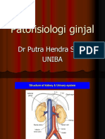 Ginjal Patofisiologi 21-2-17