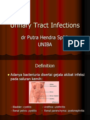 patofisiologi prostatitis pdf)