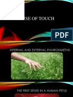 The Many Functions and Receptors of Our Sense of Touch