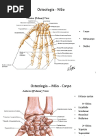 Osteologia - Mão