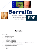  Borrelia