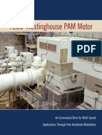 PAM_Motor.pdf