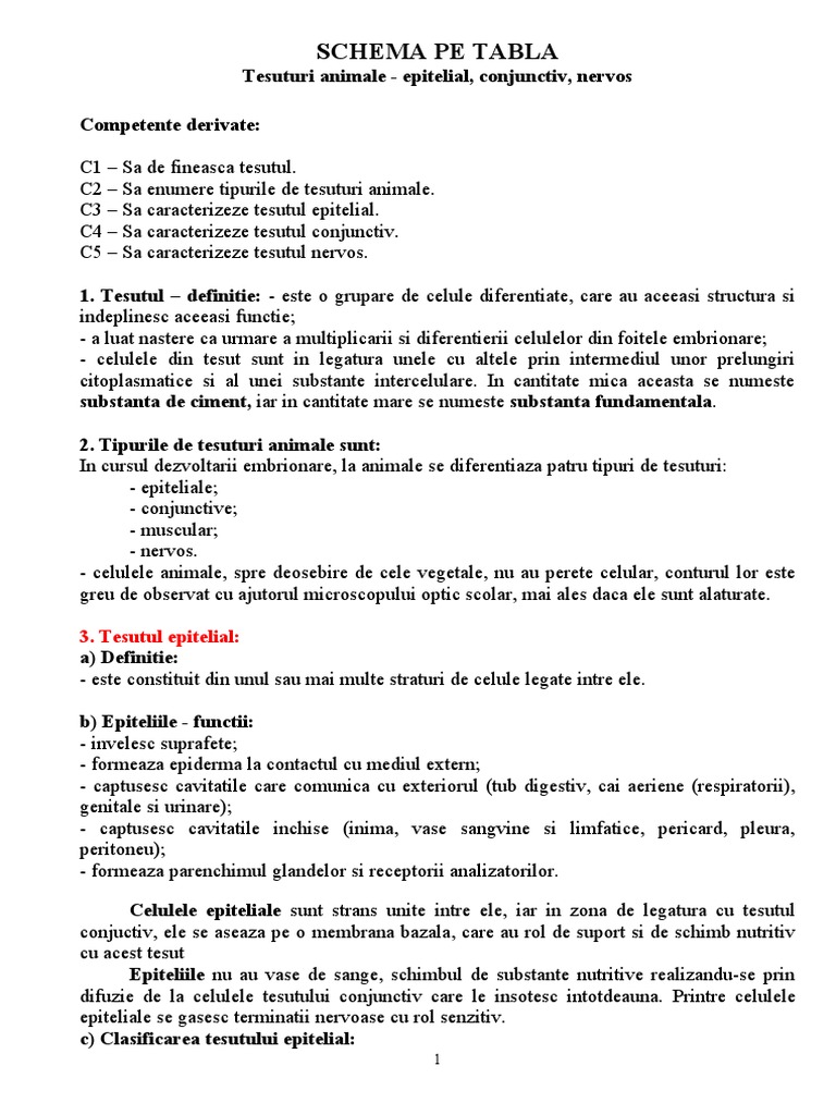 Schema Pe Tabla | PDF
