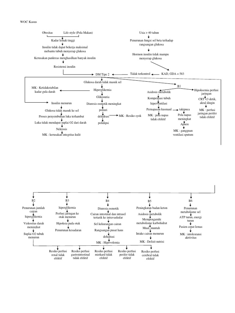 Pathway Hiperglikemia DM Tipe 2 | PDF