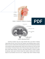 TP Nasofaring Dan Rinos Poste Dan Transiluminasi