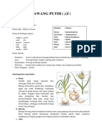 Materi 4 Bioavailabilitas Dan Bioekivalensi Kel 2