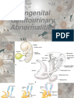 Chapter 3 Genitourinary Abnormality