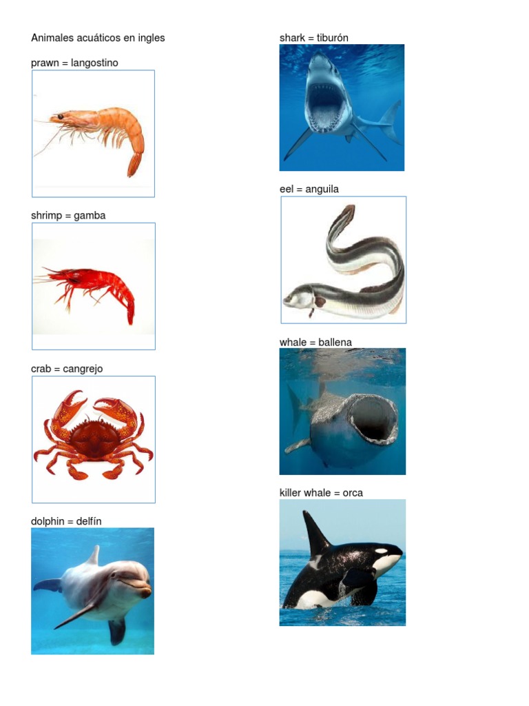 Animales acuáticos en ingles.docx Escultura Pinturas Prueba gratuita de 30 días Scribd