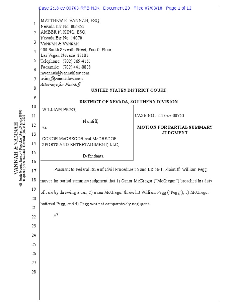 Plaintiff s motion for partial summary judgment pdf tort negligence