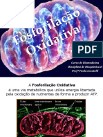 Fosforilação Oxidativa