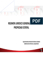 1. REGIMEN JURIDICO SNBE.pdf