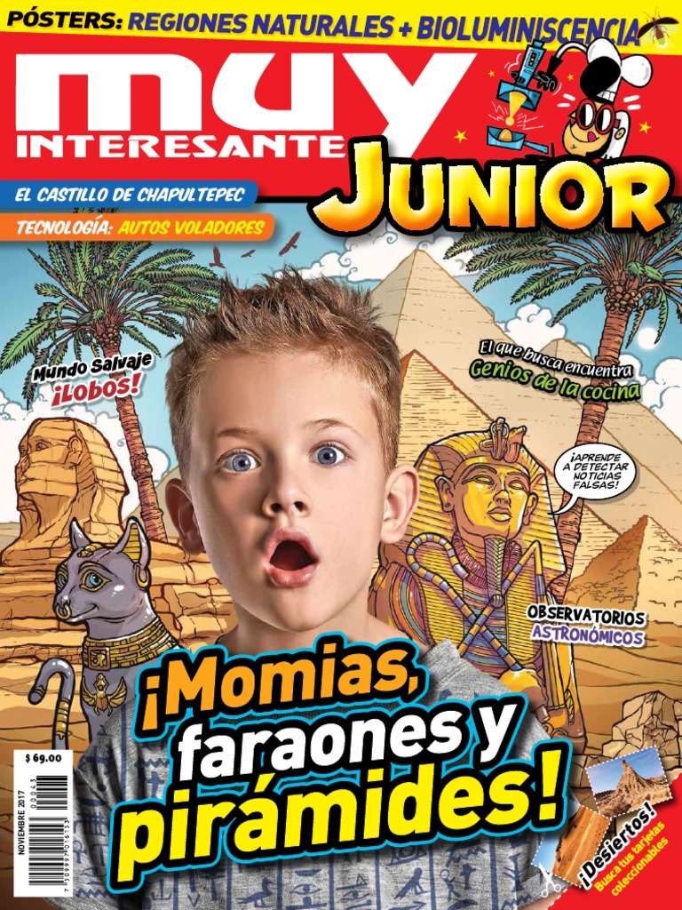 Muy Interesante Junior México - Noviembre 2017 | Ligo | Cerebro