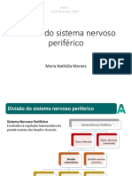 Aula 3 - Sistema Nervoso Divisão Autonomica