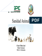 1.1_Sanidad_Animal_ESPE_introduccion-min.pdf