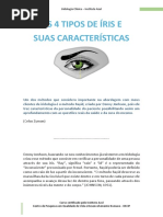 04 Tipos de Iris CORRIGIDA PDF