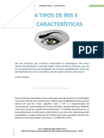 04 Tipos de Iris CORRIGIDA PDF