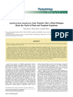 Agrobacterium Tumefaciens