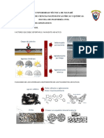 Tipo de Emulsiones Asfalticas