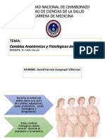 David Guayaquil Cambios Fisiològicos y Anatómicos Del Embarazo